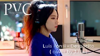 Luis Fonsi - Despacito  (cover by J Fla)  ♫ PVC Music Channel ♫