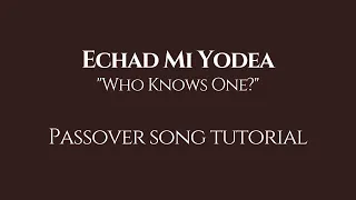 Echad Mi Yodea // Passover Song Tutorial // Gittel Fruma