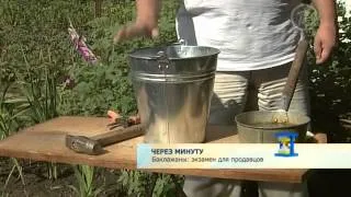 Ловушки для мышей