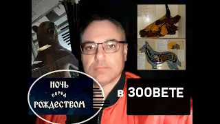 Что творится ночью перед Рождеством в пустых зданиях ветеринарного института