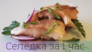 Селёдка за 1 час Как засолить вкусно