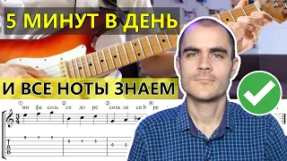 ВСЕГО 5 МИНУТ В ДЕНЬ! КАК ВЫУЧИТЬ НОТЫ НА ГИТАРЕ, УРОК ДЛЯ НАЧИНАЮЩИХ ГИТАРИСТОВ