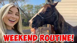 Busy Weekend Routine with 50+ PETS! | Bathing Horses, Cleaning the Barn & more!