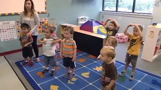 Preschoolers - Cognitive