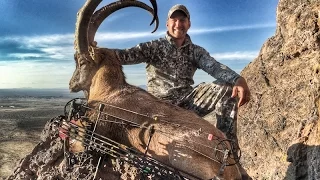 John Stallone Archery Ibex hunt New Mexico Ibex