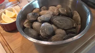 Fried Clams - Wicked Good Eats