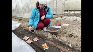 Первая профилактическая обработка сада. Посев моркови на ранний урожай. Семена на самодельной ленте