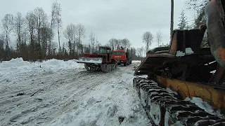 Со вторым днём весны! лесу начало всё таять...