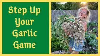 Planting Fall Garlic From Start To Finish - Ultimate Guide To Massive Garlic Harvests
