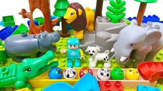 Dinosaur trex  marble run  LEGO blocks  building   t-rex track   ASMR  funny  race  toys