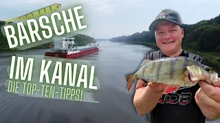 Top-Ten-Tipps auf Barsch! So fängst du sie am Kanal! Köder, Ruten, Köderführung und Taktik!