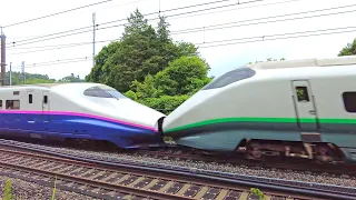 東北新幹線 E2系 やまびこ E3系 つばさ 高速通過集 50連！Tohoku Shinkansen E2 series Yamabiko E3 series Tsubasa