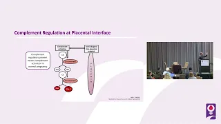 C-5 inhibition of Thrombotic Microangiopathy (TMA) in Pregnancy | Richard Burwick, MD, MPH