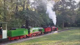 Dampf-Traktion bei der Dresdner Parkeisenbahn (26.08.2018)