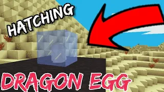 How To Hatch Dragon Egg in MultiCraft!