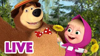 🔴 LIVE STREAM 🎬 Masha and the Bear 🌷 Springtime Spirit 🌼🌱