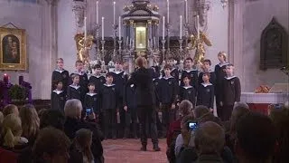 Zwischen Tradition und Moderne - die Wiener Sängerknaben | Journal Reporter