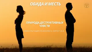 Обида и месть в психологии. Природа деструктивных чувств.