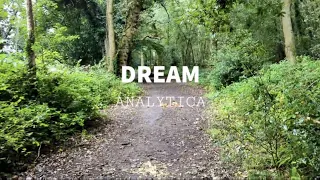 Dream - Nature Walk In The Rain | Surrey, England | Rain Walking Ambiance (HQ)