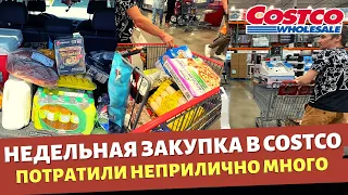 Недельная закупка в Costco / Потратили много денег / Влог США