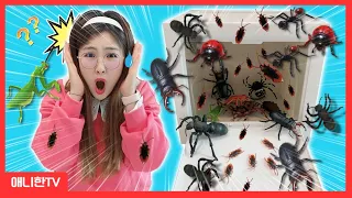 미스테리 벌레 박스! 벌레가 너무 많아! 아기 고양이가 선택한 선물은? Mystery bug insect box [애니한TV]