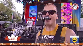 blink-182 - Blame it on my youth (live at Good Morning America) (PRO SHOT)