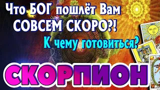 СКОРПИОН ❤️‍🔥 Что БОГ пошлет СОВСЕМ СКОРО в Вашу Жизнь Таро Расклад гадание онлайн