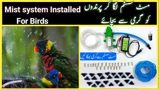 Water Mist SyFor Birds Shed | How To control Humidity Level | Water Fogging System