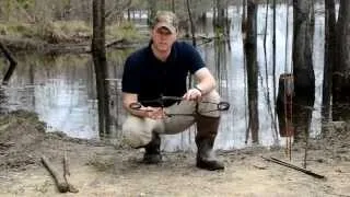 Beaver Trapping - Conibear Basics