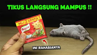 Tikus langsung MAMPUS !! Buat racun tikus paling ampuh