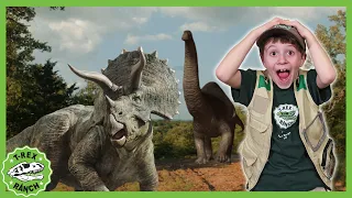 Herbie The Herbivore Song! | T-Rex Ranch Dinosaur Videos