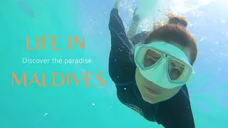 Fairmont Maldives | Snorkeling | Жизнь на Мальдивах