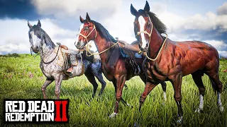 PURO SANGUE INGLÊS: BAIO RUBRO E O RARÍSSIMO RAJADO - RED DEAD REDEMPTION 2