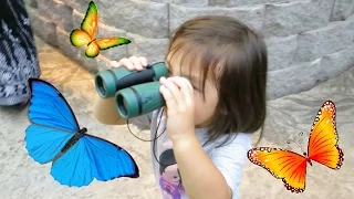 FIRST TIME AT A BUTTERFLY GARDEN! - November 02, 2015 -  ItsJudysLife Vlogs