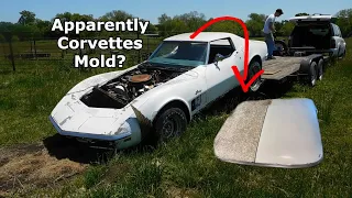 Cleaning Ten Years Of Mold Off My 1972 Corvette! Crazy Time-Lapse Detail Transformation
