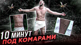 10 минут под комарами.