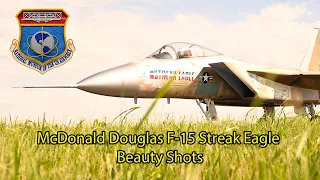 McDonnell Douglas F-15 Streak Eagle(Short Beauty Shots)