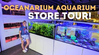 This store has over 160 Aquarium, Reptile and Terrarium tanks! (FULL Tour)