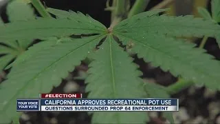 California approves recreational pot use