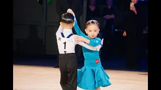 Dutch Open11/2022 |JIVE｜SIRIUS & YILINKA｜5Years Old |The 16th Competition｜Netherlands ｜HONEY ACADEMY