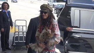New Country Musician, Steven Tyler Arrives At The Airport Cradling His Two Dogs