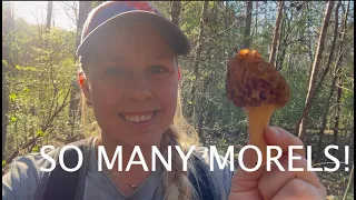 Morel Mushrooms Hunting - Outdoors Fun Finding Tons of Wild Morels