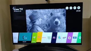 LG SK8100 4K UHD TV WebOS 4, British accessibility review for the visually impaired