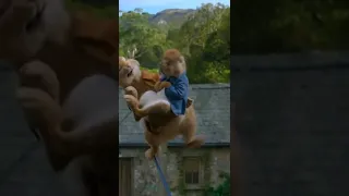 Peter Rabbit Whatsapp Status Hd  | Peter Rabbit 2 | #Shorts