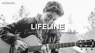 lifeline by Joshua Bassett (unreleased song)