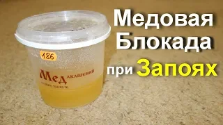 Как бросить пить? Лечение алкоголизма народными средствами. Медовая блокада при запоях