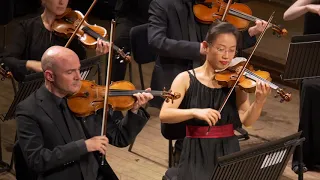 Mozart's Symphony No. 40 (first movement) – performed live by the London Mozart Players