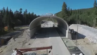 I-90 animal overpass