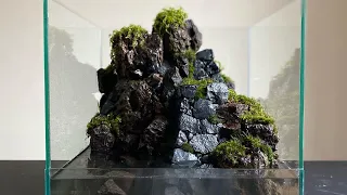 黒い城跡と苔【Terrarium of the castle ruins】