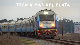 Tren a Mar del Plata volando! Feb 2018 - Jul 2022